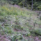 20112308130806-506.jpg